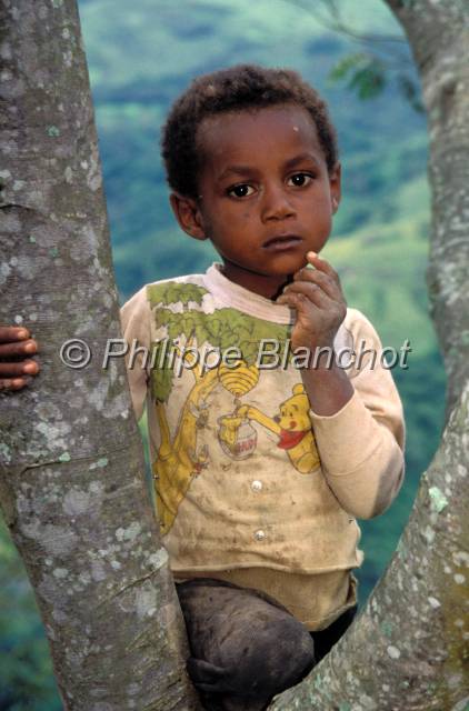yungas bolivie  04.JPG - Enfant Moreno (Noir)Tocana CoroicoYungas de Bolivie
